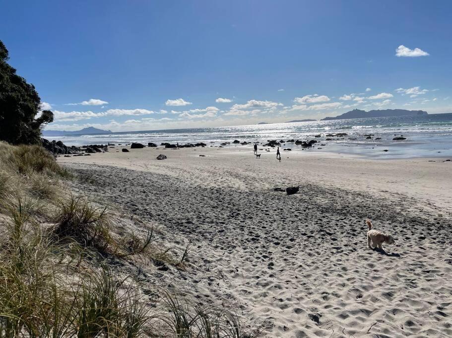 The Blue House Apartment Mangawhai